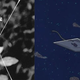 Illustration for article titled Real-Life Parasites That Behave Remarkably Like emHalo/ems Most Disgusting Enemy